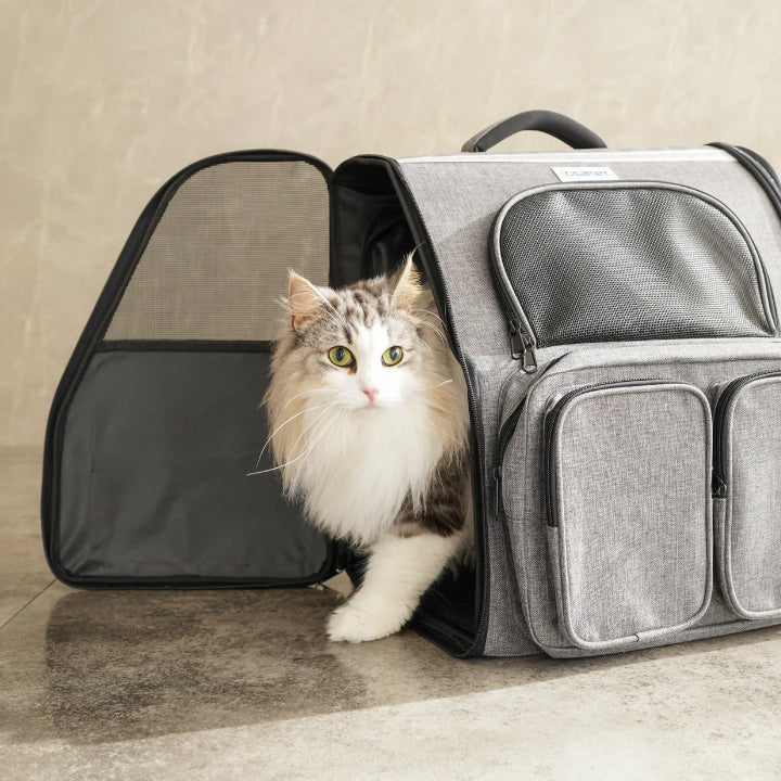 猫型 防災リュック 茶色ふるさと納税 八王子市 素材にこだわった「猫型