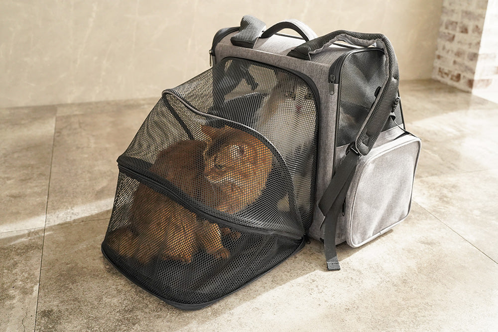 ロッジ ペット用防災リュック 単品 犬 猫 | Osamet